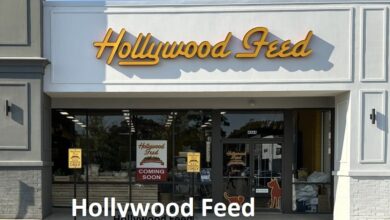 Hollywood Feed