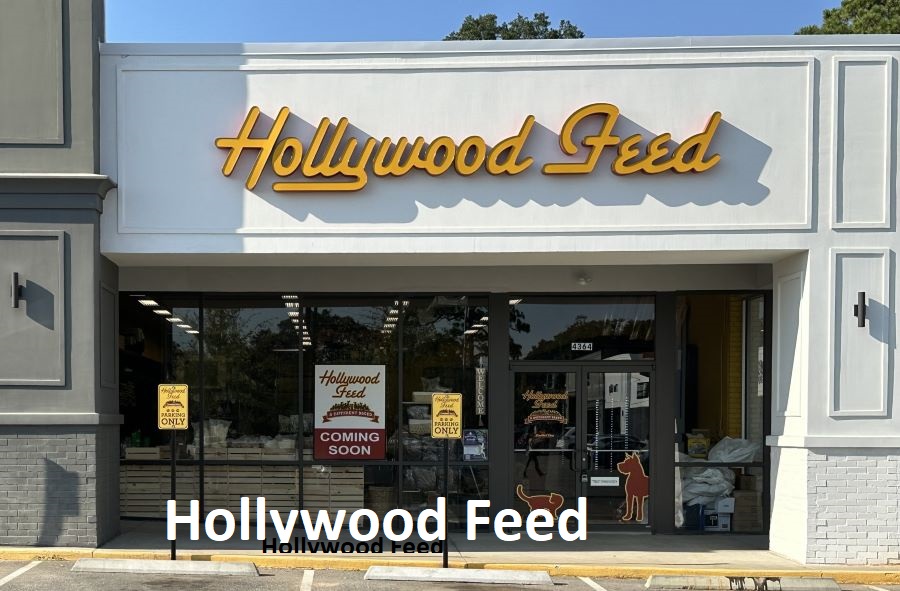 Hollywood Feed