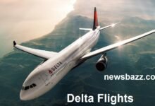 Delta Flights