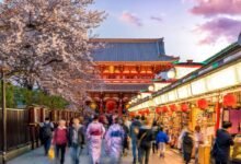 Tokyo Travel Guide 2025