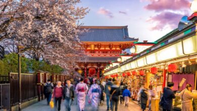 Tokyo Travel Guide 2025